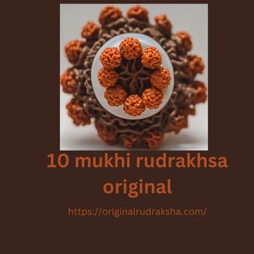 Wear The 10 Mukhi Rudraksha