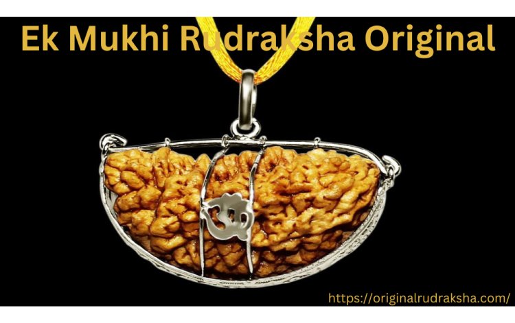 The Ultimate Guide to Help You Ek Mukhi Rudraksha