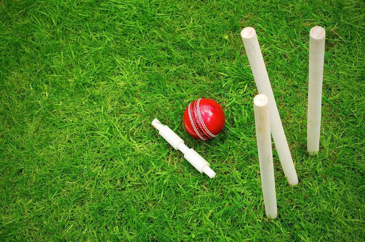 Cricket id: Your Gateway to Cricket Bliss